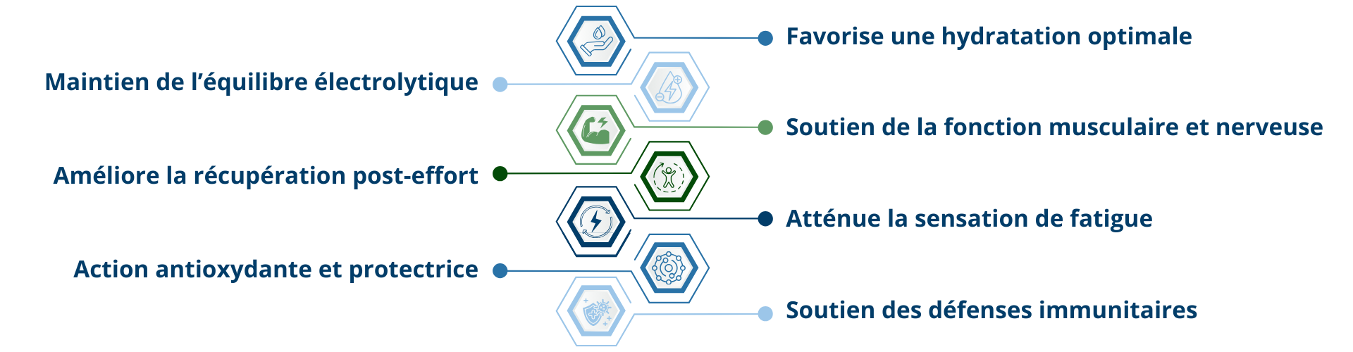 les effets à attendre de la boisson Électrolytes Nutratrail®